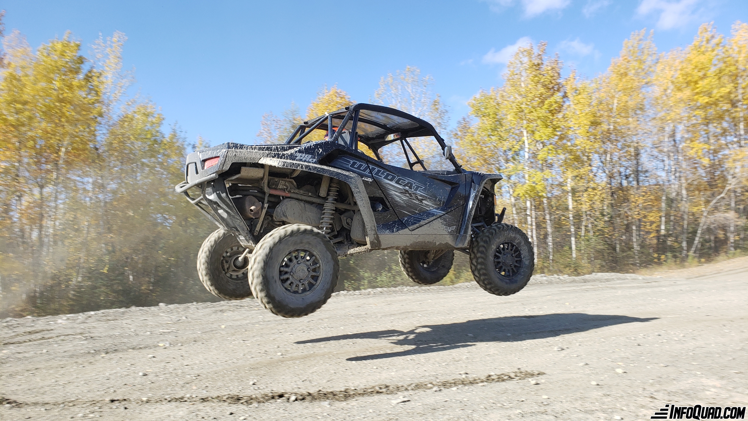 WildCat XX LTD – Un félin facile à apprivoiser