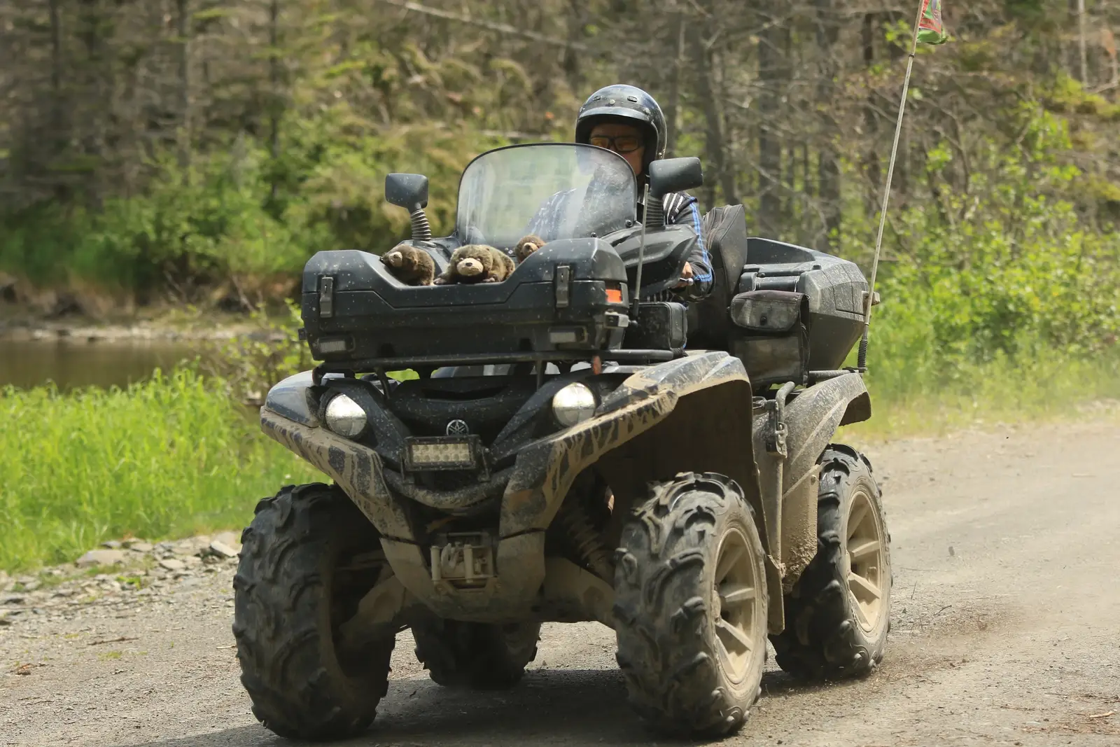 Quads et garantie de base : un décalage inquiétant pour les acheteurs?